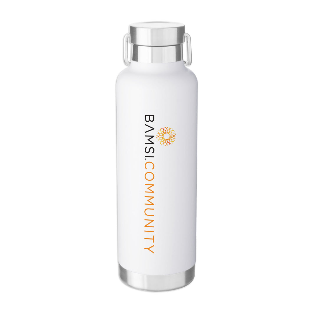 H2Go Insulated Water Bottle