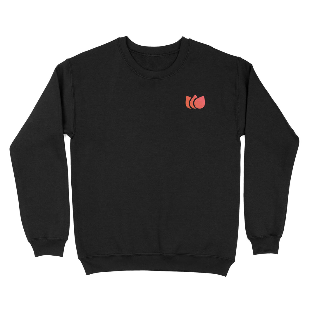 Unisex Standard Crew Neck Sweatshirt (DTFx)